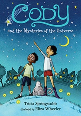 Cody And The Mysteries Of The Universe by Tricia Springstubb