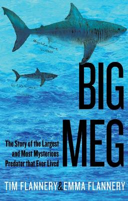 Big Meg: The Story of the Largest and Most Mysterious Predator That Ever Lived by Tim Flannery