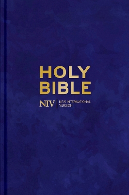 NIV Larger Print Personal Velvet Bible book