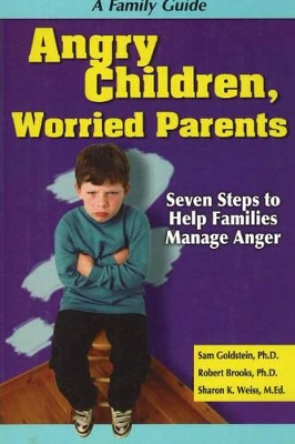 Angry Children, Worried Parents book