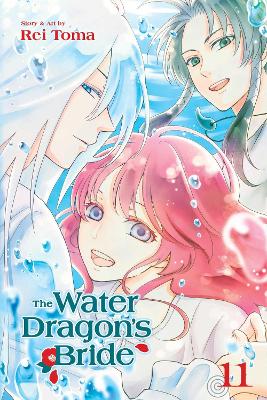 The Water Dragon's Bride, Vol. 11 book