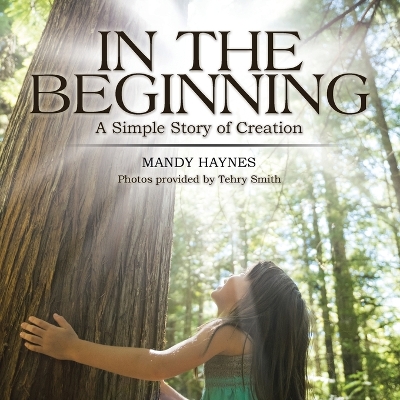 In the Beginning: A Simple Story of Creation book