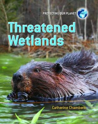 Threatened Wetlands by Catherine Chambers