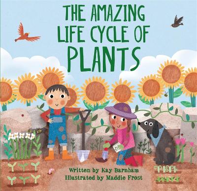 Look and Wonder: The Amazing Plant Life Cycle Story by Kay Barnham