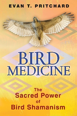 Bird Medicine book