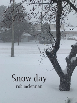 Snow day book