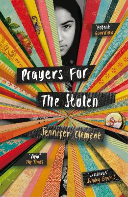 Prayers for the Stolen book
