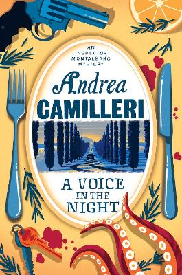 A Voice in the Night book