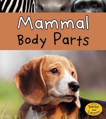 Mammal Body Parts (Animal Body Parts) by Clare Lewis
