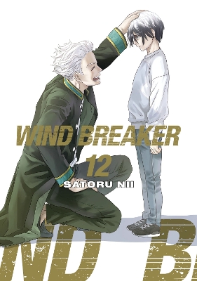 WIND BREAKER 12 book