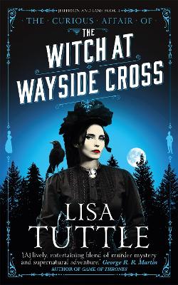 Witch at Wayside Cross book