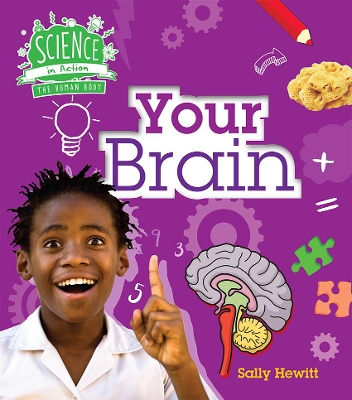 Science in Action: Human Body - Your Brain by Sally Hewitt