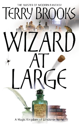 Wizard At Large book