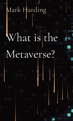 What is the Metaverse? book