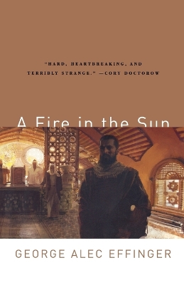 A Fire in the Sun book