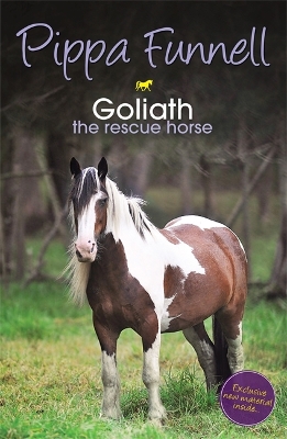 Tilly's Pony Tails: Goliath the Rescue Horse by Pippa Funnell