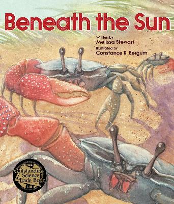 Beneath the Sun book