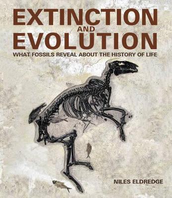 Extinction and Evolution book