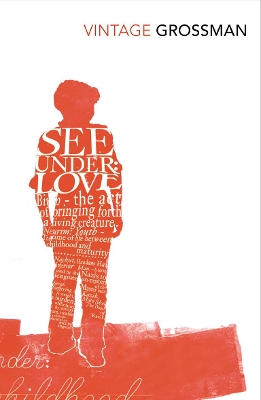 See Under Love by David Grossman