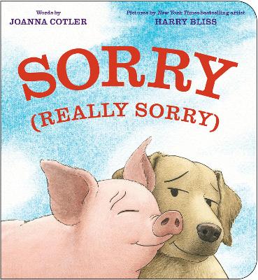 Sorry (Really Sorry) book