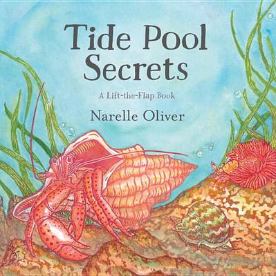 Tide Pool Secrets by Narelle Oliver