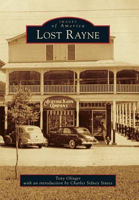 Lost Rayne by Tony Olinger