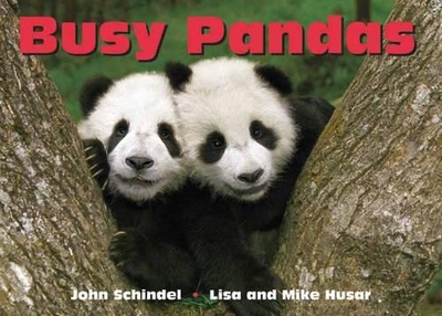 Busy Pandas book