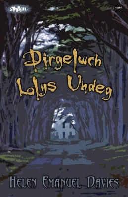 Cyfres Strach: Dirgelwch Llys Undeg by Helen Emanuel Davies