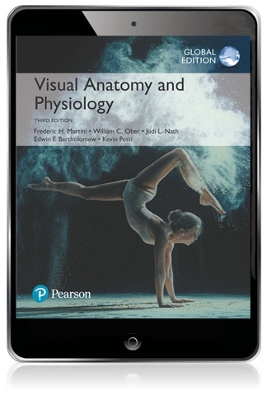 Visual Anatomy & Physiology, Global Edition by Frederic Martini