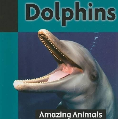 Dolphins by James de Medeiros