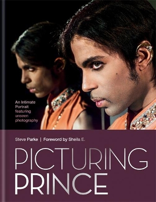 Picturing Prince book