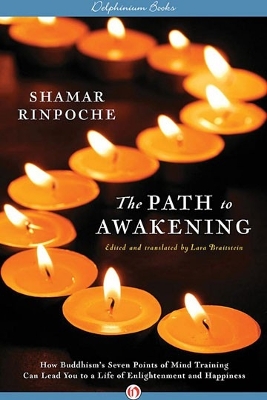 The Path To Awakening by Shamar Rinpoche