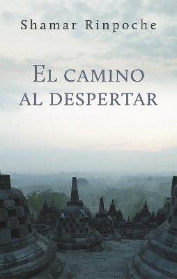 El camino al despertar book