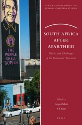 South Africa after Apartheid: Policies and Challenges of the Democratic Transition by Arrigo Pallotti