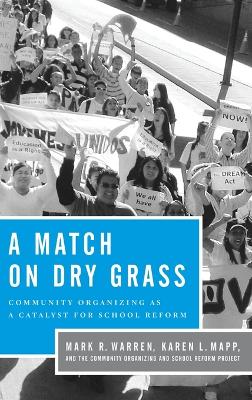 Match on Dry Grass book