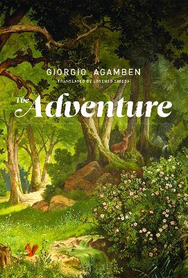 The Adventure book