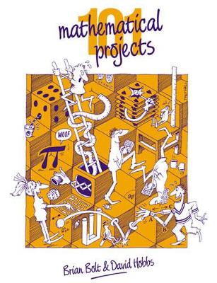 101 Mathematical Projects book