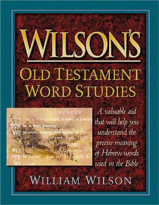 Wilson's Old Testament Word Studies book