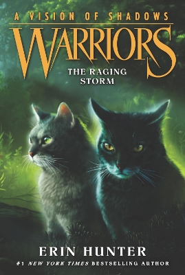 Warriors: A Vision of Shadows #6: The Raging Storm book