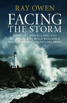 Facing the Storm book