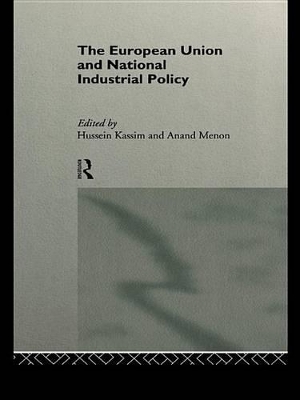 The European Union and National Industrial Policy by Hussein Kassim