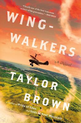 Wingwalkers: A Novel book