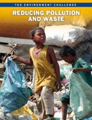 Reducing Pollution and Waste book