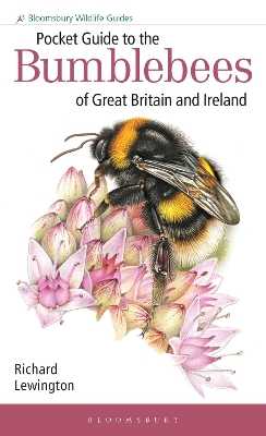 Pocket Guide to the Bumblebees of Great Britain and Ireland book