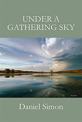 Under a Gathering Sky book