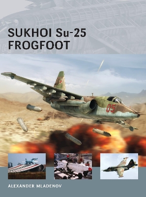 Sukhoi Su-25 Frogfoot book