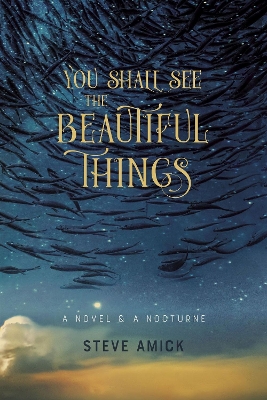You Shall See the Beautiful Things – A Novel & A Nocturne book