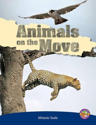 Animals on the Move book