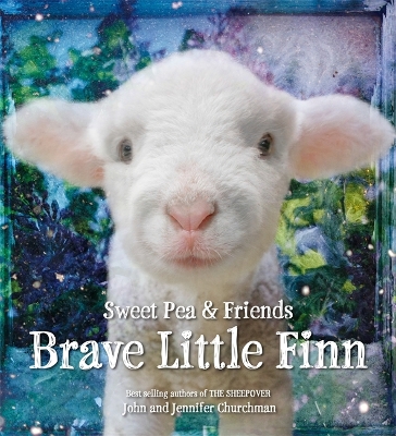 Brave Little Finn book