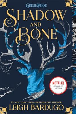 Shadow and Bone book